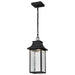 SATCO/NUVO Austen Collection 1-Light Outdoor Hanging Fixture LED Smart - Starfish RGBTW CCT Selectable Matte Black Clear Water Glass (62-5996)