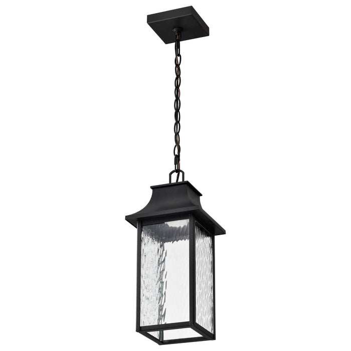 SATCO/NUVO Austen Collection 1-Light Outdoor Hanging Fixture LED Smart - Starfish RGBTW CCT Selectable Matte Black Clear Water Glass (62-5996)