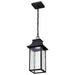 SATCO/NUVO Austen Collection 1-Light Outdoor Hanging Fixture LED Smart - Starfish RGBTW CCT Selectable Matte Black Clear Water Glass (62-5996)