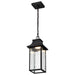 SATCO/NUVO Austen Collection 1-Light Outdoor Hanging Fixture LED Smart - Starfish RGBTW CCT Selectable Matte Black Clear Water Glass (62-5996)