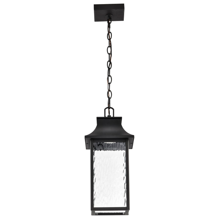 SATCO/NUVO Austen Collection 1-Light Outdoor Hanging Fixture LED Smart - Starfish RGBTW CCT Selectable Matte Black Clear Water Glass (62-5996)