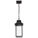 SATCO/NUVO Austen Collection 1-Light Outdoor Hanging Fixture LED Smart - Starfish RGBTW CCT Selectable Matte Black Clear Water Glass (62-5996)
