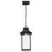 SATCO/NUVO Austen Collection 1-Light Outdoor Hanging Fixture LED Smart - Starfish RGBTW CCT Selectable Matte Black Clear Water Glass (62-5996)