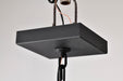 SATCO/NUVO Austen Collection 1-Light Outdoor Hanging Fixture LED Smart - Starfish RGBTW CCT Selectable Matte Black Clear Water Glass (62-5996)
