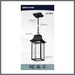 SATCO/NUVO Austen Collection 1-Light Outdoor Hanging Fixture LED Smart - Starfish RGBTW CCT Selectable Matte Black Clear Water Glass (62-5996)