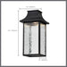 SATCO/NUVO Austen Collection 1-Light Outdoor Hanging Fixture LED Smart - Starfish RGBTW CCT Selectable Matte Black Clear Water Glass (62-5996)
