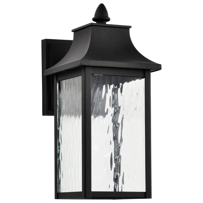 SATCO/NUVO Austen Collection 1-Light Outdoor Small Wall Fixture LED Smart - Starfish RGBTW CCT Selectable Matte Black Clear Water Glass (62-5997)