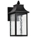 SATCO/NUVO Austen Collection 1-Light Outdoor Small Wall Fixture LED Smart - Starfish RGBTW CCT Selectable Matte Black Clear Water Glass (62-5997)