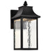SATCO/NUVO Austen Collection 1-Light Outdoor Small Wall Fixture LED Smart - Starfish RGBTW CCT Selectable Matte Black Clear Water Glass (62-5997)