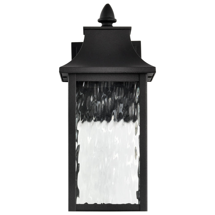 SATCO/NUVO Austen Collection 1-Light Outdoor Small Wall Fixture LED Smart - Starfish RGBTW CCT Selectable Matte Black Clear Water Glass (62-5997)