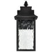 SATCO/NUVO Austen Collection 1-Light Outdoor Small Wall Fixture LED Smart - Starfish RGBTW CCT Selectable Matte Black Clear Water Glass (62-5997)