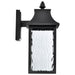 SATCO/NUVO Austen Collection 1-Light Outdoor Small Wall Fixture LED Smart - Starfish RGBTW CCT Selectable Matte Black Clear Water Glass (62-5997)