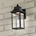 SATCO/NUVO Austen Collection 1-Light Outdoor Small Wall Fixture LED Smart - Starfish RGBTW CCT Selectable Matte Black Clear Water Glass (62-5997)
