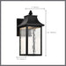 SATCO/NUVO Austen Collection 1-Light Outdoor Small Wall Fixture LED Smart - Starfish RGBTW CCT Selectable Matte Black Clear Water Glass (62-5997)