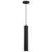 SATCO/NUVO Century 12W 16 Inch LED Pendant Matte Black Finish (62-816)