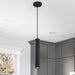 SATCO/NUVO Century 12W 16 Inch LED Pendant Matte Black Finish (62-816)