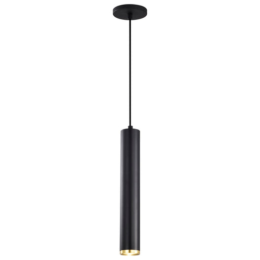 SATCO/NUVO Century 12W 16 Inch LED Pendant Matte Black And Brushed Brass Finish (62-818)