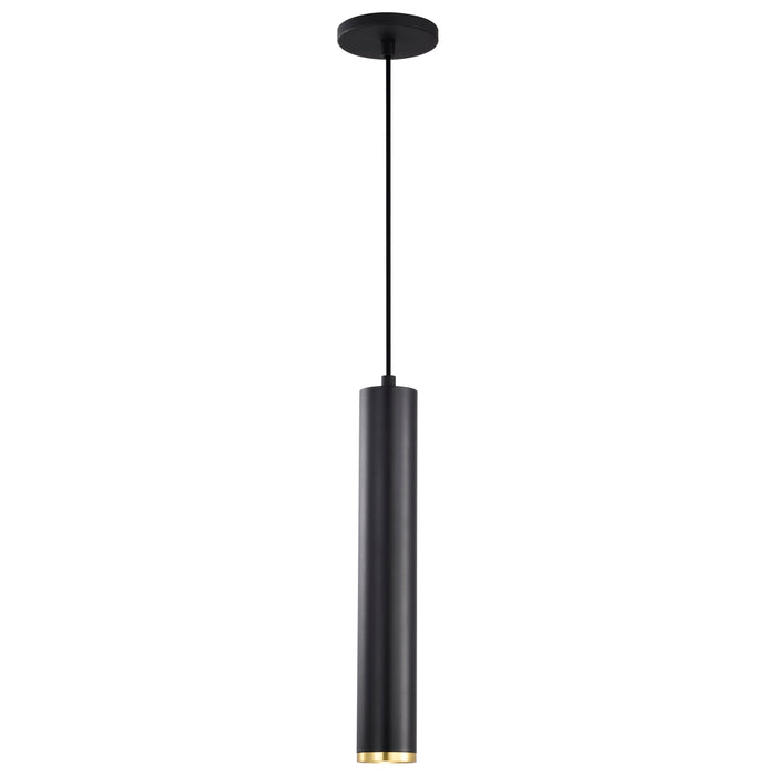 SATCO/NUVO Century 12W 16 Inch LED Pendant Matte Black And Brushed Brass Finish (62-818)