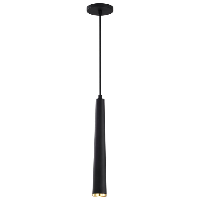 SATCO/NUVO Melrose 12W 16 Inch LED Pendant Matte Black And Brushed Brass Finish (62-828)