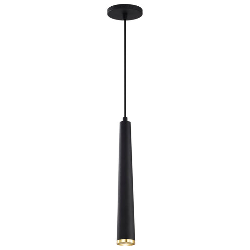 SATCO/NUVO Melrose 12W 16 Inch LED Pendant Matte Black And Brushed Brass Finish (62-828)