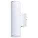 SATCO/NUVO 20W 2-Light Medium LED Wall Sconce CCT Selectable 3000K/4000K/5000K 90 CRI Non-Dimmable 120-277V Up And Down Installation White (65-1762)