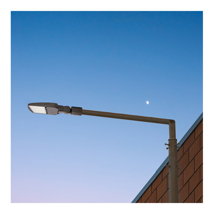 SATCO/NUVO LED Area Light Type V 150W Bronze Finish 4000K 120-277V (65-842-5)