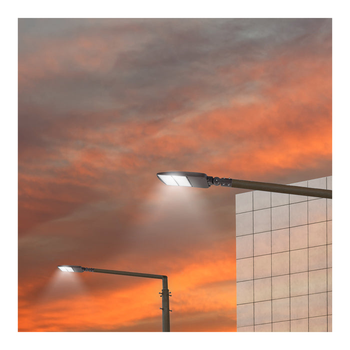 SATCO/NUVO LED Area Light Type III 240W Bronze Finish 4000K 120-277V (65-846)