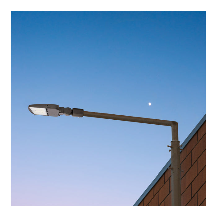 SATCO/NUVO LED Area Light Type IV 200W Bronze Finish 5000K 277-480V (65-865-4)