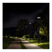 SATCO/NUVO LED Small Post Top Fixture Wattage/CCT Selectable 75W/55W/35W 3000K/4000K/5000K 120-347V Bronze (Q3)
