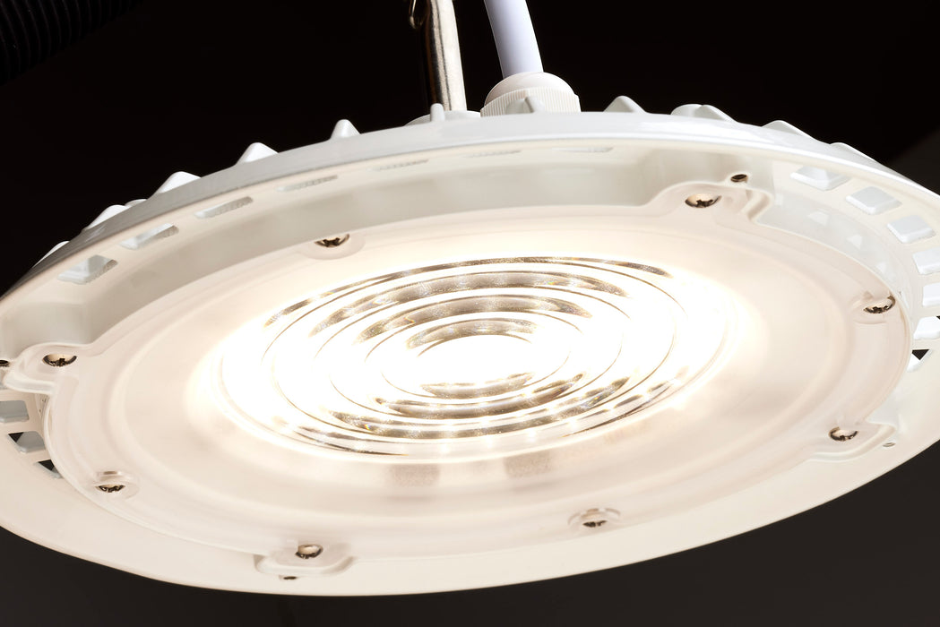 SATCO/NUVO 80W Hi-Pro Shop Light With Plug 8 Inch 4000K White Finish 120V (65-974)