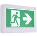 SATCO/NUVO Running Man Green Exit Sign 120-347V 2-Hour Backup Single/Dual Face Universal Mounting Thermoplastic (67-500)