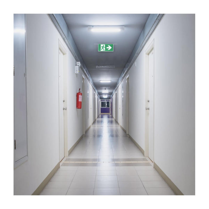 SATCO/NUVO Running Man Green Edge Lit Exit Sign 120-347V 2-Hour Backup Single/Dual Face Premium Flush Recessed Mounting (67-540)