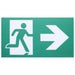 SATCO/NUVO Running Man Green Exit Sign 120/347V 2-Hour Backup Single/Dual Face Universal Mounting Wet Location (67-560)