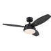 Westinghouse 42 Inch Matte Black Ceiling Fan 3 Charcoal/Riverbed Blades With Opal Frosted Glass With Lamps (7305000)