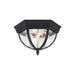 Generation Lighting Wynfield Two Light Outdoor Ceiling Flush Mount (78136-12)