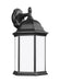 Generation Lighting Sevier Large One Light Downlight Outdoor Wall Mount Lantern (8438751-12)