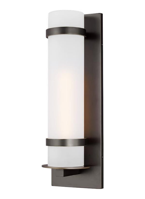 Generation Lighting Alban Large One Light Outdoor Wall Mount Lantern (8718301-71)