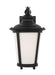 Generation Lighting Cape May One Light Outdoor Wall Mount Lantern (88241EN3-12)