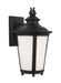 Generation Lighting Cape May One Light Outdoor Wall Mount Lantern (88241EN3-12)