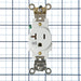 Generation Lighting LX Festoon Accent Lamp Holder White (9830-15)