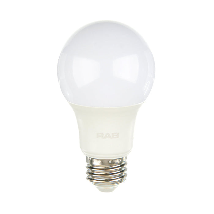 RAB LED Bulb A19 10W 60W Equivalent 840Lm E26 80 CRI 5000K Dimmable (A19-10-E26-850-DIM)