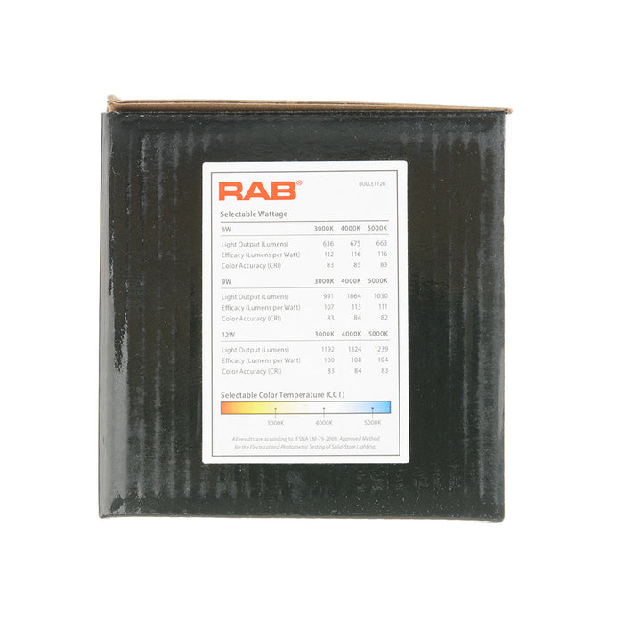 RAB Bullet Flood 12W Cool LED 120V With Hood And Lens Black (BULLET12B)