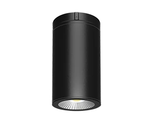 RAB CD34 Cylinder 4 Inch Wattage/CCT Selectable 12W/16W/20W 2700K/3000K/3500K/4000K/5000K 40 Degree 120-277V Surface/Pendant Mount Black Clear Lens (CD34-4SPK)