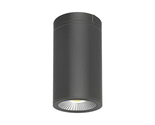 RAB CD34 Cylinder 4 Inch Wattage/CCT Selectable 12W/16W/20W 2700K/3000K/3500K/4000K/5000K 40 Degree 120-277V Surface/Pendant Mount Bronze Clear Lens (CD34-4SPZ)