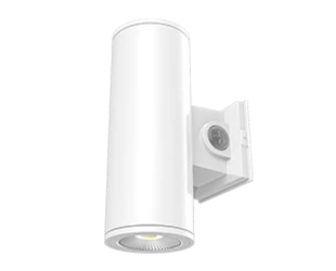 RAB CD34 Cylinder 4 Inch Wattage/CCT Selectable 12W/16W/20W 3000K/4000K/5000K 40 Degree 120-277V Wall Mount White Clear Lens (CD34-4WW)