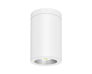 RAB CD34 Cylinder 6 Inch Wattage/CCT Selectable 18W/24W/30W 2700K/3000K/3500K/4000K/5000K 60 Degree 120-277V Surface/Pendant Mount White Clear Lens (CD34-6SPW)