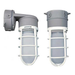 EXO VBGL-2 LED Vaportite Ceiling Mount 2722Lm 20W 4000K 120-277V Grey (93158398)