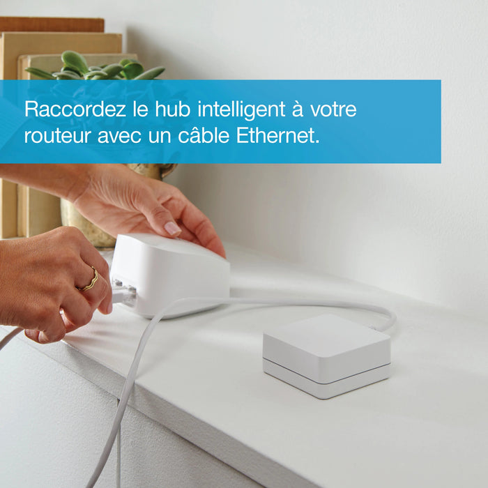 Lutron Diva Smart Dimmer Starter Kit With Smart Hub/Diva Smart Dimmer/Pico Remote/Faceplate/Mount (DVRF-BDG-1D)