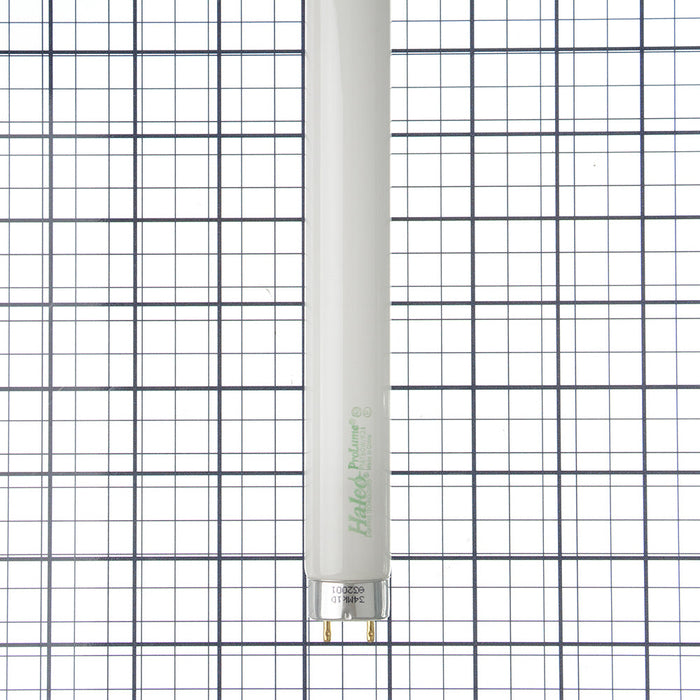 Halco F18T8CW/K24 18W 24 Inch Fluorescent T8 4100K 1025Lm 62 CRI Medium Bi-Pin Base Tube (109234)