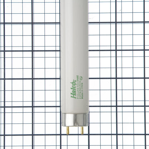 Halco F25T8/841/ECO 25 36 Inch Fluorescent T8 4100K 2140Lm 86 CRI Medium Bi-Pin G13 Base Tube (109810)